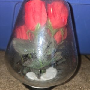 Rare Vintage Bowl-O-Beauty Co Real Roses Glass Snow Globe Melrose Park IL Flower